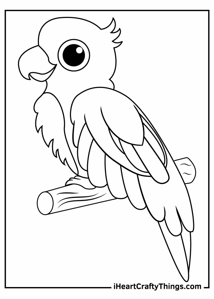 Parrot Coloring Page Example