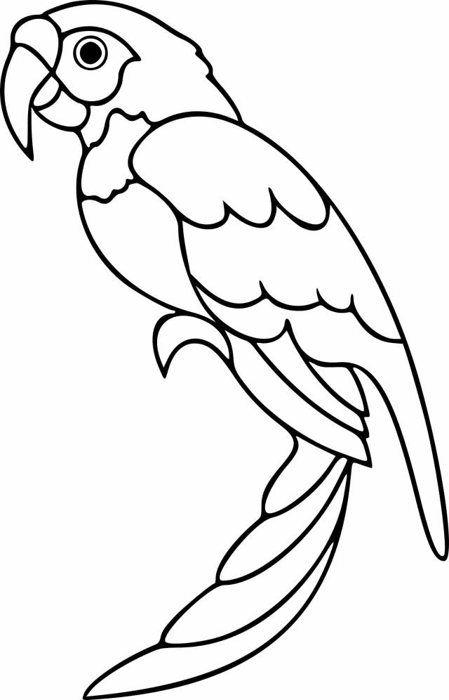 Parrot Coloring Page Example