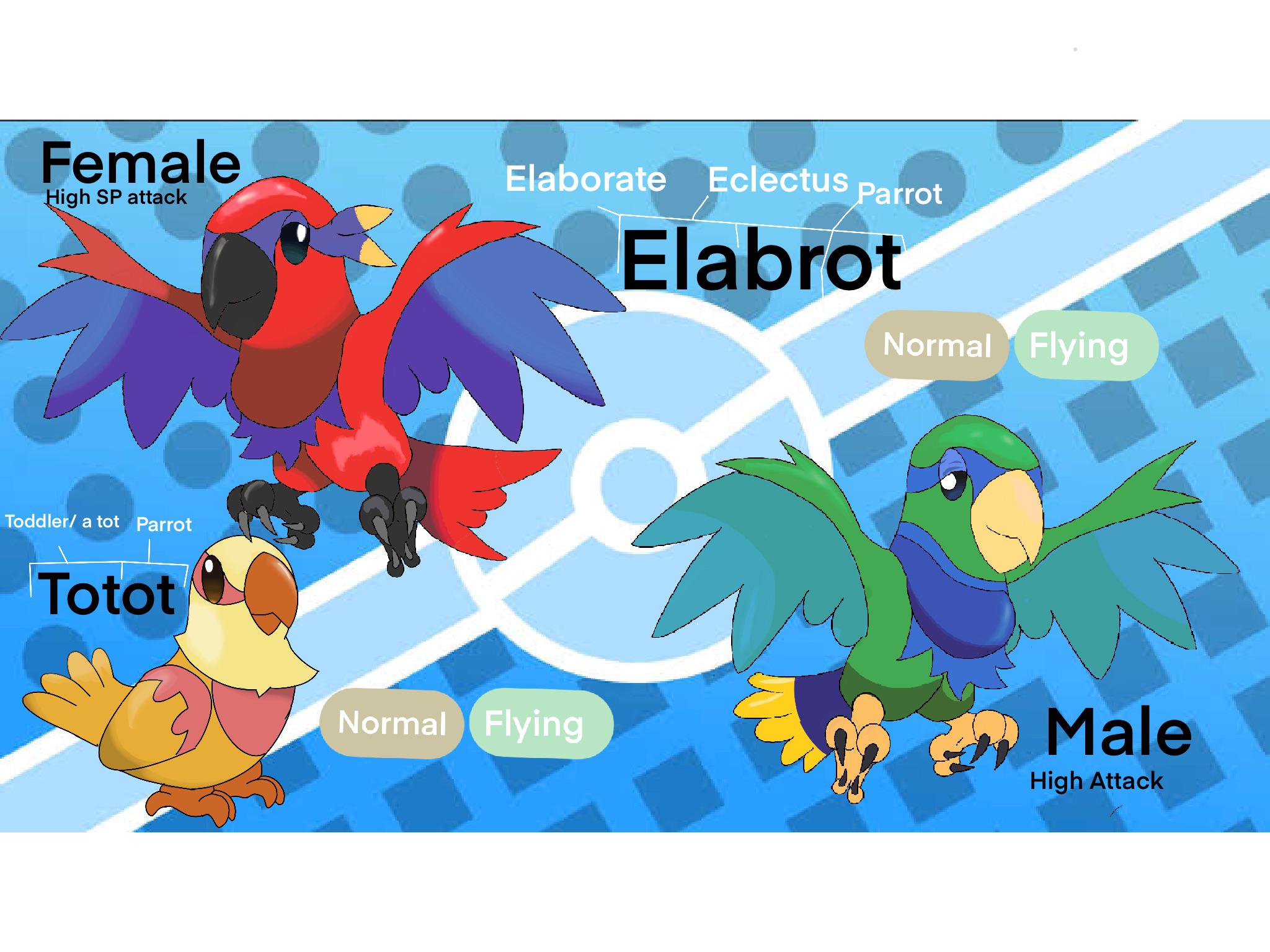 Brave Bird - the Trendsetter Parrot Pokémon