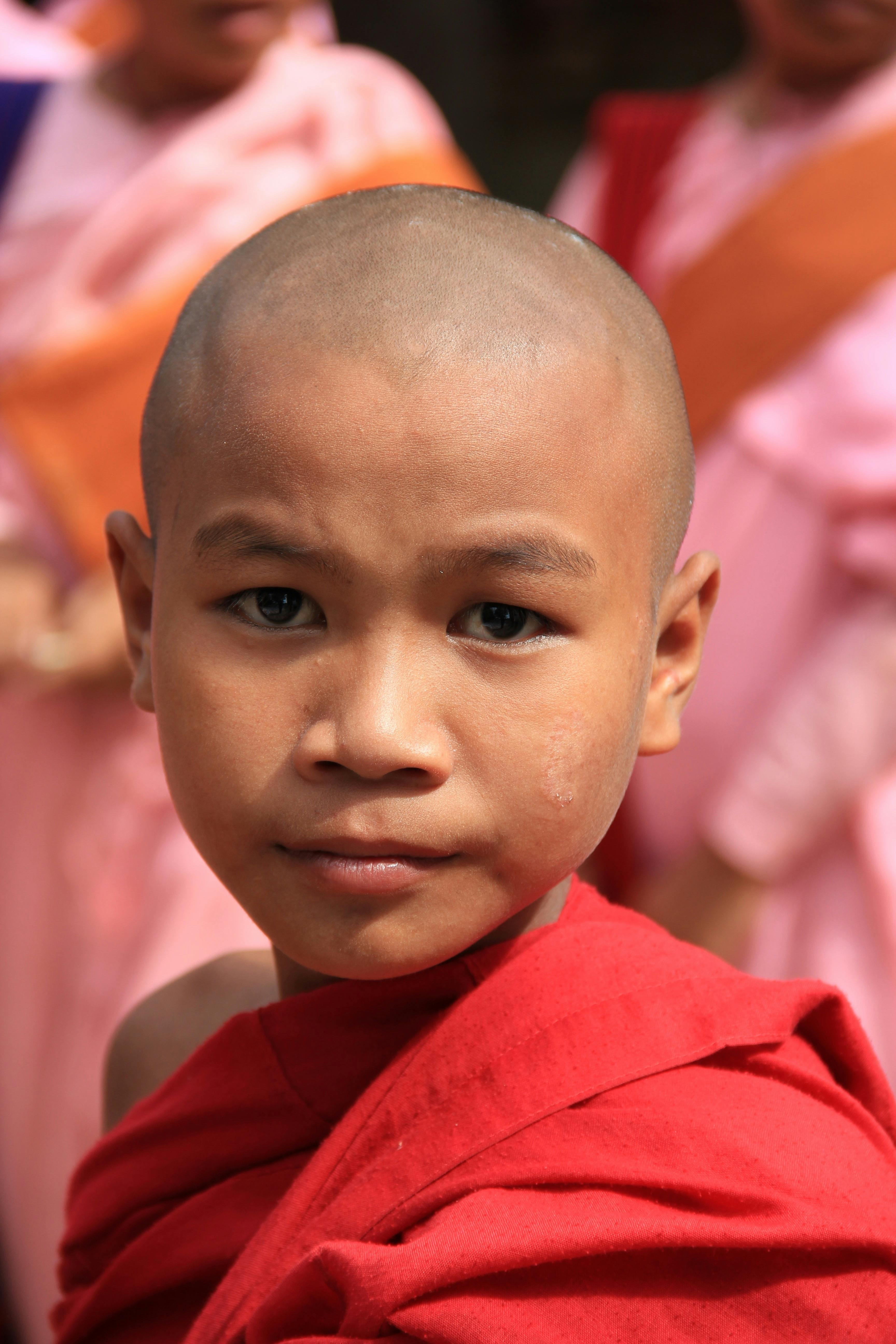 Training Monk Parrot